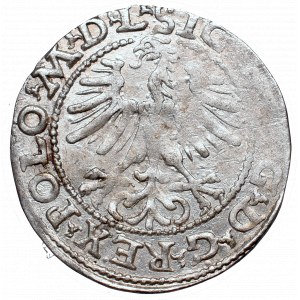 Sigismund II Augustus, Halfgroat 1564, Vilnius