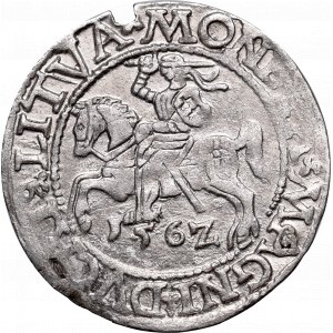 Sigismund II Augustus, Halfgroat 1562, Vilnius