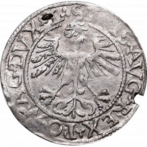 Zygmunt II August, Półgrosz 1562, Wilno - L/LITVA