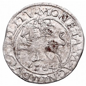 Sigismund II Augustus, Halfgroat 1564, Vilnius