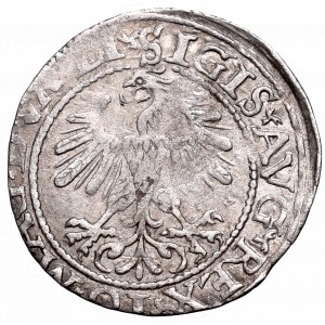 Sigismund II Augustus, Halfgroat 1560, Vilnius