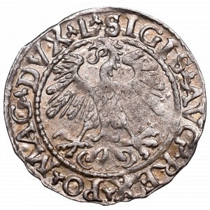 Sigismund II Augustus, Halfgroat 1559, Vilnius