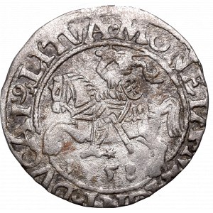 Zygmunt II August, Półgrosz 1558, Wilno - L/LITVA