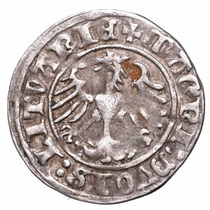 Zygmunt I Stary, Półgrosz 1511, Wilno - :1511/LITVANIE
