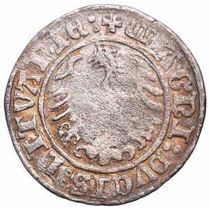 Zygmunt I Stary, Półgrosz 1509, Wilno - :1509:/LITVANIE: