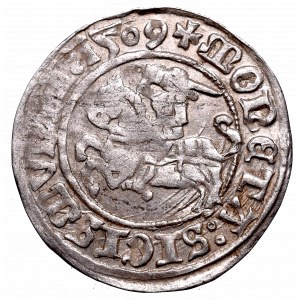 Zygmunt I Stary, Półgrosz 1509, Wilno - :1509/LITVANIE