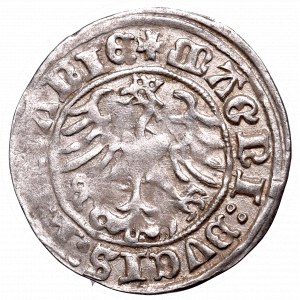 Zygmunt I Stary, Półgrosz 1509, Wilno - :1509/LITVANIE
