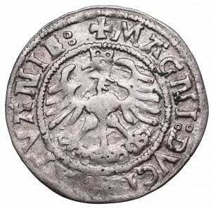 Zygmunt I Stary, Półgrosz 1523, Wilno - nieopisana przebitka SIGISV/MN/VNDI