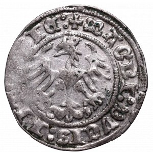 Zygmunt I Stary, Półgrosz 1514, Wilno - :1514:/LITVANIE: