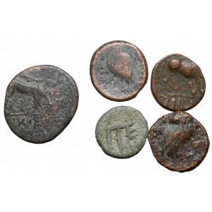 Zestaw monet greckich