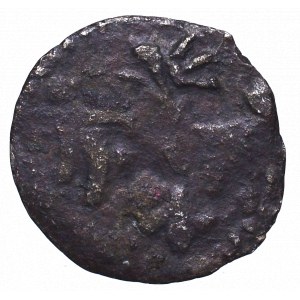 Vladislaus II Jagellon, Denarius without date, Fraustadt