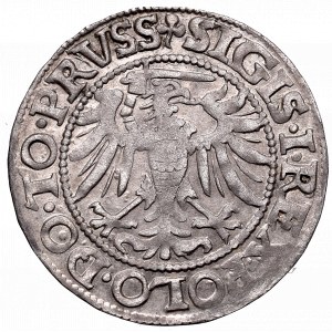 Sigismund I the Old, Groschen 1539, Elbing