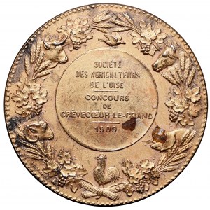 Francja, medal 1909 srebro
