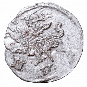 Sigismundus II Augustus, 2 denar 1567, Vilnius