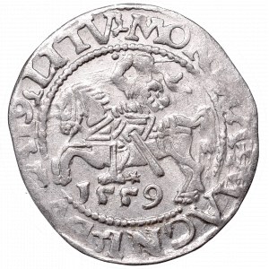 Sigismund II Augustus, Half-groat 1559, Vilnius - LI/LITV