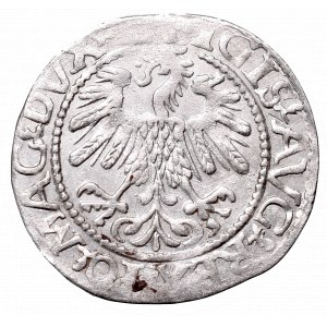 Sigismund II Augustus, Half-groat 1559, Vilnius - LI/LITV