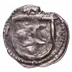 Vladislaus II, Denarius without date, Fraustadt