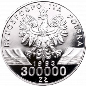 III RP, 300.000 złotych 1994 Jaskółki