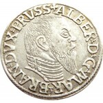 Prusy Książęce, Albrecht, trojak 1544, Królewiec