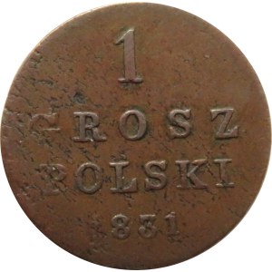 Mikołaj I, 1 grosz 1831 K.G., Warszawa, rzadki