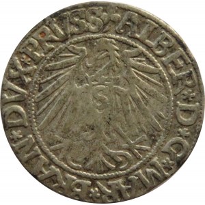 Prusy Książęce, Albrecht, grosz pruski 1543, patyna, Królewiec