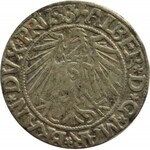 Prusy Książęce, Albrecht, grosz pruski 1543, patyna, Królewiec