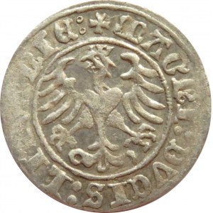 Zygmunt I Stary, półgrosz 1510, Wilno, ogon konia w kształcie S do góry i kropka rozdzielająca cyfry daty