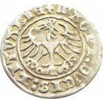 Zygmunt I Stary, półgrosz 1511, Wilno, bardzo ładny, połyskowy egzemplarz