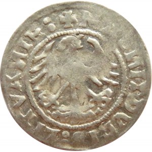 Zygmunt I Stary, półgrosz 1519, Wilno, ładny