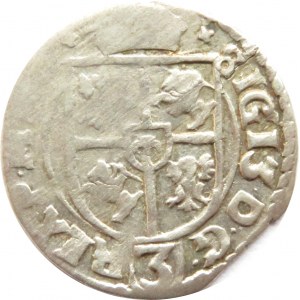 Zygmunt III Waza, półtorak 1614, Bydgoszcz, rzadki