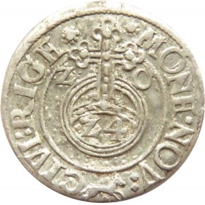 Zygmunt III Waza, półtorak 1620, Ryga, Z i lis