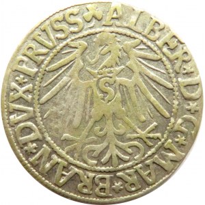 Prusy Książęce, Albrecht, Grosz pruski 1546, Królewiec