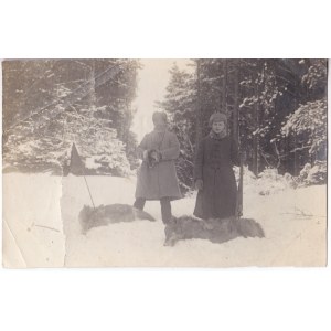 Przedwojenna fotografia myśliwców na śniegu - wilki, Olgierd Świda, Witold Świda, Dobra nieświeskie
