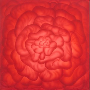 Hanna Rozpara, Czerwona róża, 2020