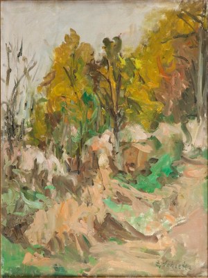 Zygmunt Schreter (1886 Łódź - 1977 Francja) Krajobraz leśny