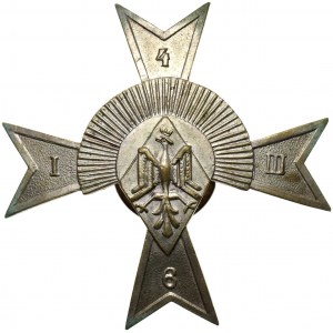 II RP, odznaka, 6. Pułku Strzelców Konnych - Żółkwia
