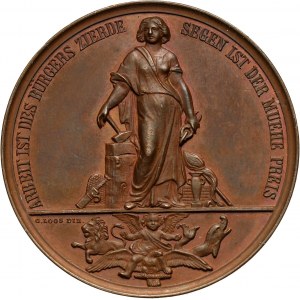 XIX wiek, medal z 1872 roku, Wystawa Rolnictwa i Rzemiosła w Poznaniu