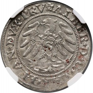 Prusy Książęce, Albert Hohenzollern, grosz 1530, Królewiec
