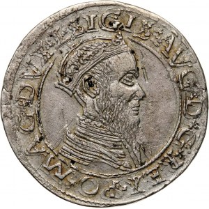 Zygmunt II August, czworak 1565, Wilno
