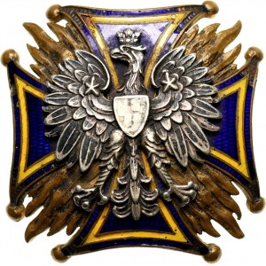 II RP, odznaka, 13 Pułk Piechoty