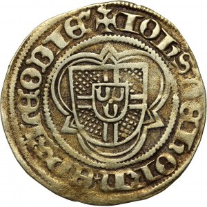 Belgium, Liege, John of Hoorn 1484-1505, Florin d'or ND