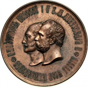 Rosja, Aleksander II, medal bez daty (1878) Cesarskiego Towarzystwa Rolniczego Południowej Rosji