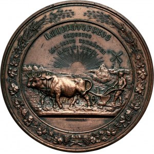 Rosja, Aleksander II, medal bez daty (1878) Cesarskiego Towarzystwa Rolniczego Południowej Rosji