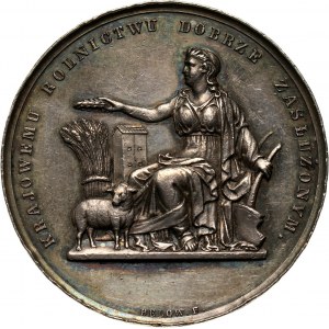 XIX wiek, Toruń, medal z 1874 roku, Wystawa Rolnicza i Przemysłowa w Toruniu