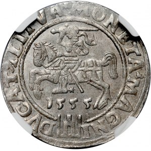 Zygmunt II August, grosz na stopę litewską 1555, Wilno