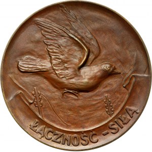 II RP, medal z 1925 roku, Ministerstwo Spraw Wojskowych, za hodowlę gołębi pocztowych