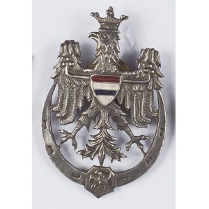 Odznaka 10 Pułk Ułanów Litewskich