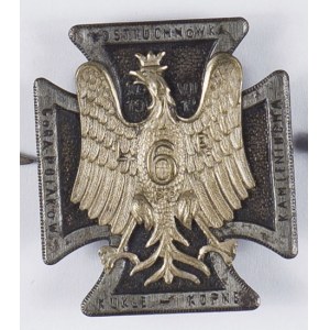 Odznaka 6 Pułk Piechoty Legionów