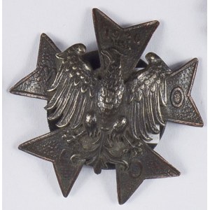 Odznaka Mało Polskie Oddziały Armii Ochotniczej 1920