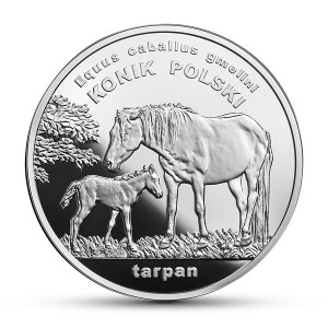 20 złotych 2014 - Konik polski